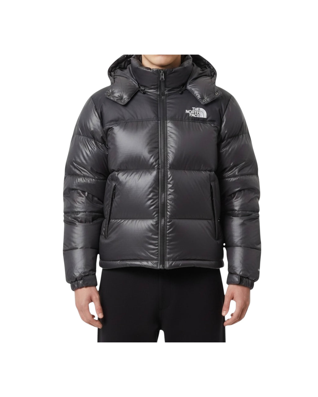 The Northface Pufferjacket